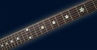 Jockomo Everly Brothers Star  white Pearl  Guitar Inlay Sticker White