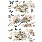 Rub On Transfers For Furniture Redesign Prima Blossom Botanica Free Shipping