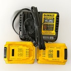 Dewalt 20v Max Battery Kit W  5 0 Ah  2 0 Ah Battery  And Charger Dcb225-2c