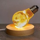 Wooden Led Light Base Usb Display Stand Night Lamp Holder Decor Light