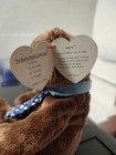 Ty Beanie Babies Collection Retired Hero The Bear June 18 2000 W  Errors