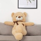 Big Teddy Bear Stuffed Animal 31 5 Inch Giant Large Plush Soft Toy With Love    