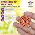 4 Mukhi Nepali Rudraksha Beads Four Faced Certified Natural Himalayan Rudrakhsha