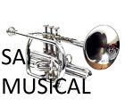 Winter Sale  Bb Cornet Nickel Free Hard Case  Mouthpiece  Brass 