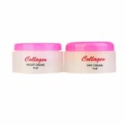 The Face Day   Night Cream Collagen Vitamin E Anti Aging Skin Elasticity