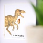 Velociraptor Raptor Tooth   Watercolour Illustration Dinosaur Fossil Box Frame