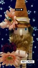 2026 15    Gorgeous Whimsical    bee Lover    Gnome Nutcracker