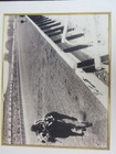 Secretariat - Ron Turcotte Signed 16  X 20  Belmont Photo 1973 Matted Gold Edge