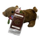 Hawaiian Collectibles 1998 Momona Pig Plush Stuffed Animal New With Tags