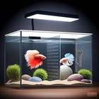 3 Gallon Nano Glass Betta Fish Tank W  Led Lights Hanging Filter Dividers New