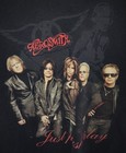 Vintage 2001 Aerosmith Just Push Play Concert Tour Black T-shirt L 100  Cotton