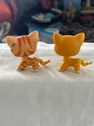 Two  2  Littlest Pet Shop Lps  hard To Find  Cat tiger