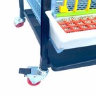 Grow Out Pen - 4 Layer H 15 