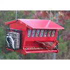 Bird Feeder Squirrel Proof Heavy Duty Metal Hanger Double Sided Hopper Red