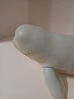 Rubber Beluga Whale About 15 Inches 1998