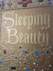 Disney Parks Sleeping Beauty Storybook Replica Large Big Journal Notebook Read 