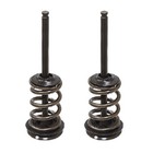 Psychic Exhaust Valve Kit For Ktm Fits 2008-2013 250 Sx-f   250 Exc-f