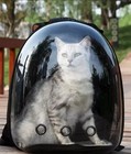 Pet Carrier Backpack Space Capsule Cat Dog Travel Bag Breathable