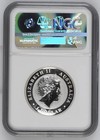 2017 Rp-70 Enhanced Reverse Proof High Relief 1oz Wedge Tail Eagle With Ogp coa