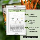 Sow Right Seeds - Bronze Amaranth For Planting - Non-gmo Orange