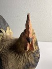 Polystone Rooster Statue Vintage Style Rustic Country Tabletop Kitchen Decor Vtg