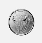 1 Oz Silver Round Buffalo Girl  999 Silver Bullion Round
