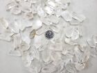 Mini Quartz Crystal Points Bulk  Crystals For Necklace Pendants   Healing Gems