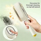 Electric Spray Airbag Massage Comb Essential Oil Atomized Hair Brush Anti-static
