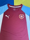Heart Of Midlothian 2016-2017 Pre-match Soccer Jersey Football Shirt Puma Sz l