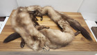 Vintage Mink Stole 3 Pelts Head Full Body  Animal Scarf Collar Wrap Brown