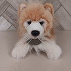 Vtg Russ Berrie Yomiko Classics Pomeranian Dog Puppy 10  Plush Collect Fluffy