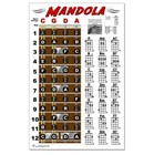 Mandola Chord Fretboard Instructional Wall Chart Poster Notes Chords 