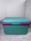 Eagle Craftstor Craft Sewing Tote Storage System Organizer Teal Pink Purple 19in