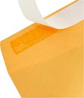 Catalog Mailing Envelopes  Peel And Seal  9x12 Inch  Brown Kraft 