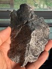 540 5grams Aletai Iron Meteorite Specimen
