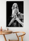Robert Plant Poster 24x36 Inch Photo Rare Print Wall Art Print Rp02