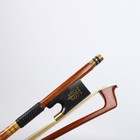 Violin Bow 4 4 Braziwood Stick Ebony Frog Balanced Mongo Horsehair Gold-wound