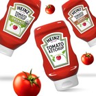 Heinz Tomato Ketchup  14 Oz Bottle