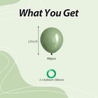 40pcs Sage Green Balloons  12inch Matte Boho Green Balloons