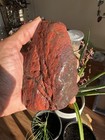 2 Lbs 3 Oz Lake Superior Banded Jasper Lapidary Rough Beautiful Colors  stands 