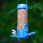 Dried Mealworm Bird Feeder With Flexports