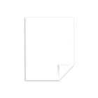 Neenah Paper Exact Index Card Stock 110 Lbs  8-1 2 X 11 White 250 Sheets pack