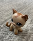 Rare 2006 Littlest Pet Shop Caramel Swirl Tan Cat Blue Eyes Lps  1024