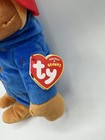 Ty Beanies  Paddington Bear Medium  Buddy 23cm 96340 - Bnwt