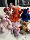 Ty Beanie Babies Lot Of 7 Plush 1999 Vintage Bears Hippo Dog Horse