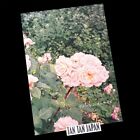 The Virgin Suicides Sofia Coppola Japanese Original Movie Theater Program 2000