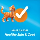 Purina Kit   Kaboodle Original Dry Cat Food 30lb Bag 2 Pack