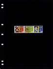  16 00 Scott Value - 2013 Ecuador Quinoa South America Plants Cv Mnh Nh Umm