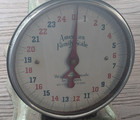 Vintage American Family Scale Green Rustic Kitchen Scale 8x8x6 Farmhouse Decor