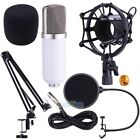 Pro Nw-800 Studio Audio Recording Condenser Microphone With Suspension Stand Kit